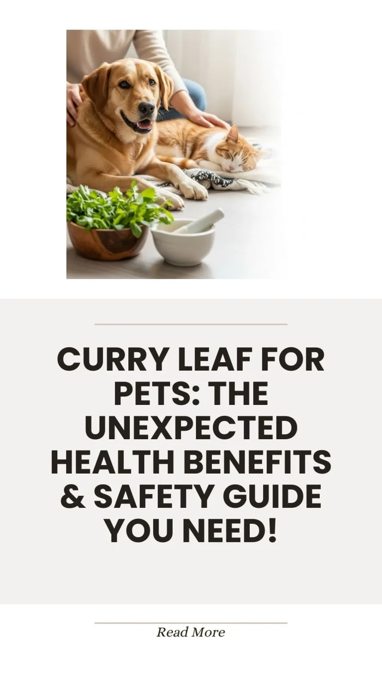 Curry leaf herb benefits and safety for pets