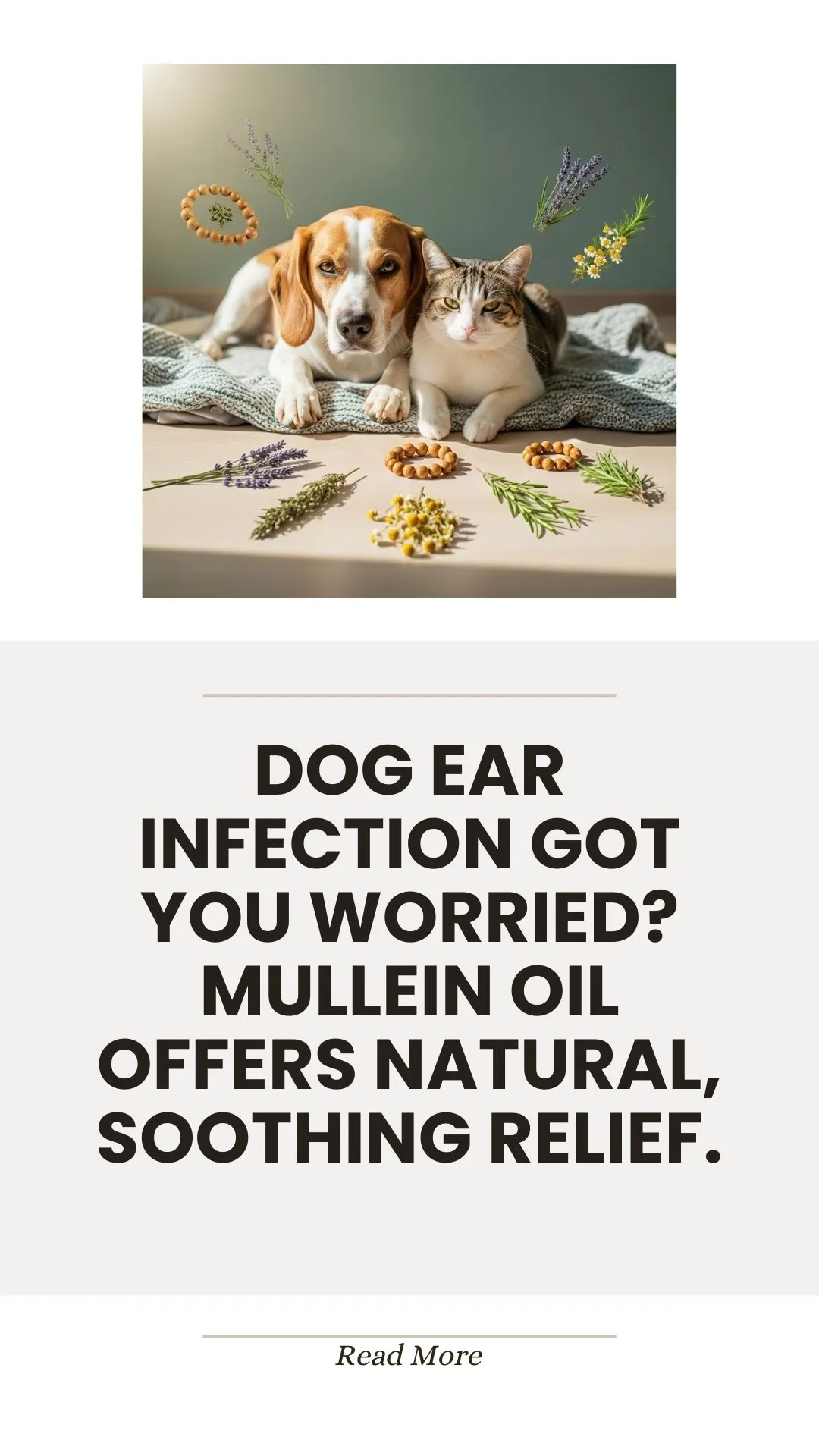 Mullein oil as a natural remedy for dog ear infections