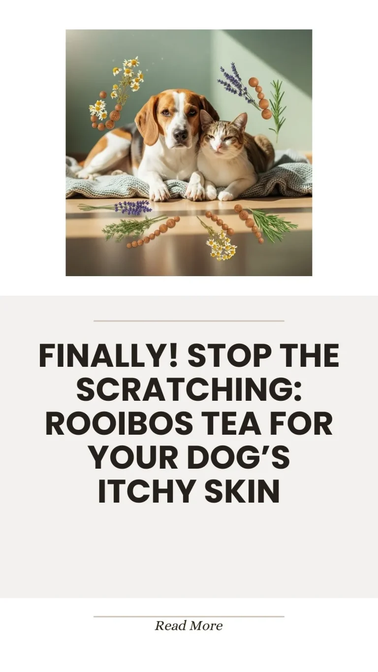 Rooibos tea for soothing itchy dog skin