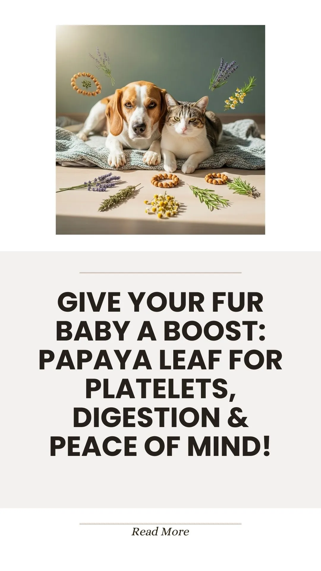 Papaya leaf for pet platelet and digestive support