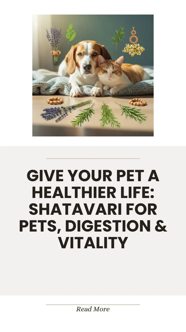 Shatavari herb for pet digestion and vitality