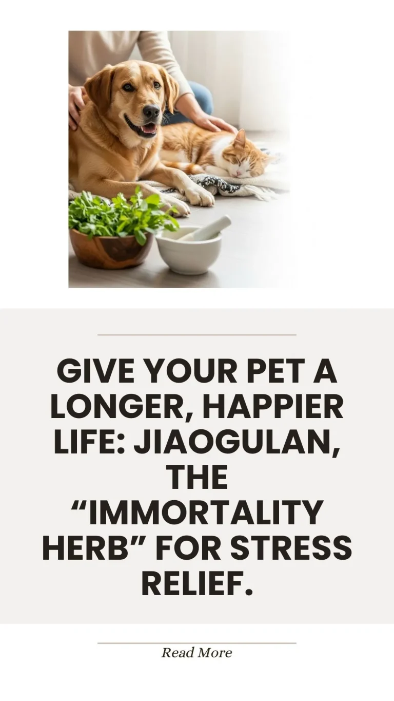Jiaogulan, the immortality herb, for pet stress relief