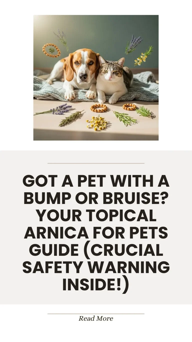 Topical arnica for treating pet bumps and bruises
