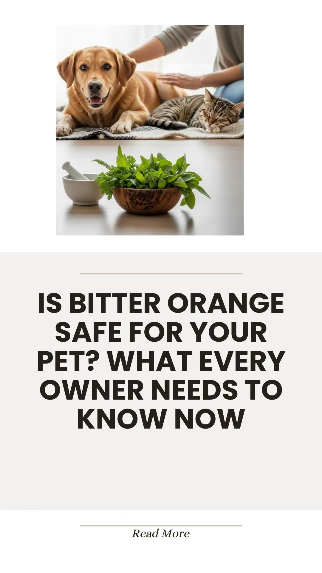 Bitter orange safety considerations for pets
