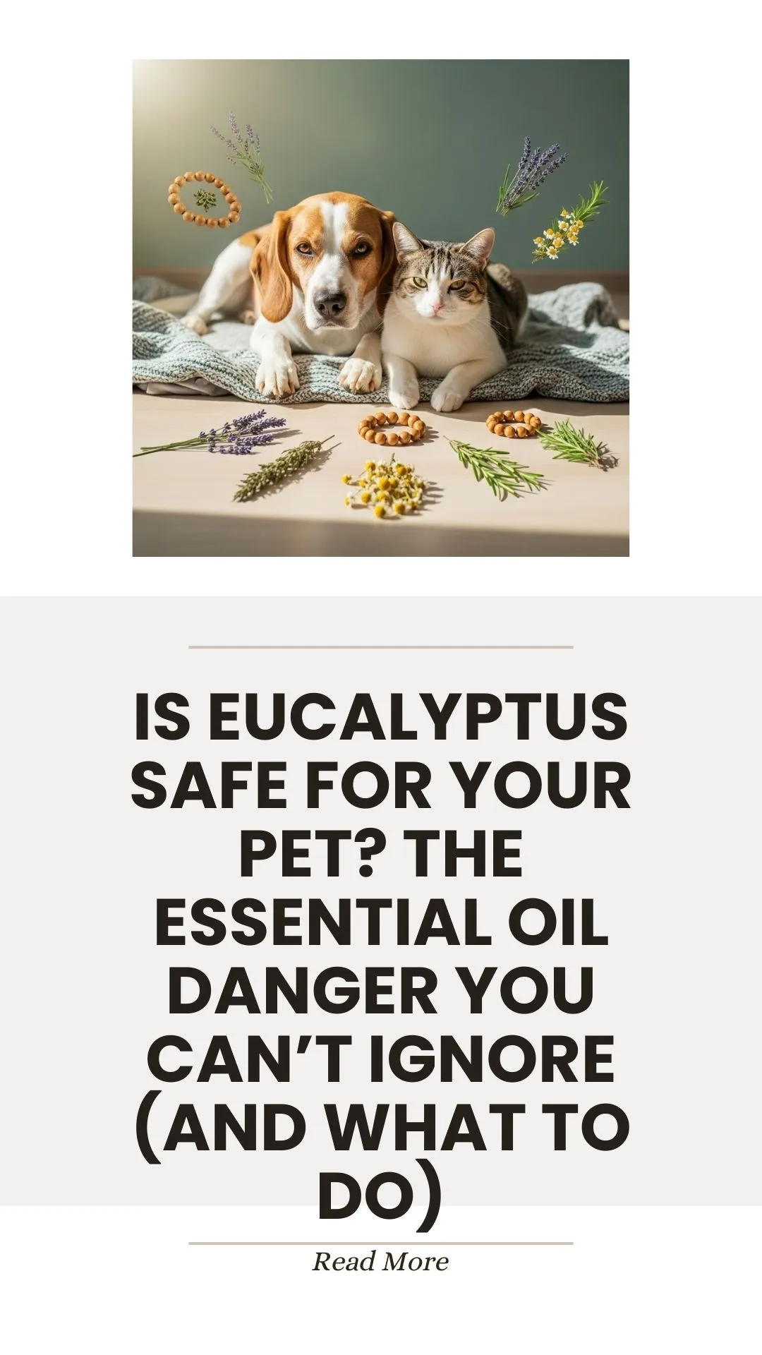 Eucalyptus essential oil danger warning for pets