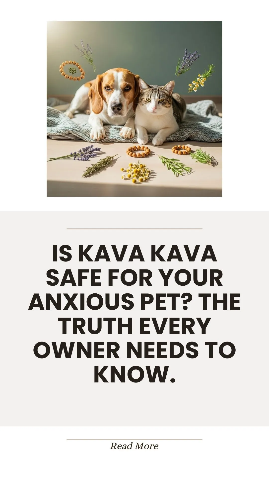 Kava kava herb safety for anxious pets
