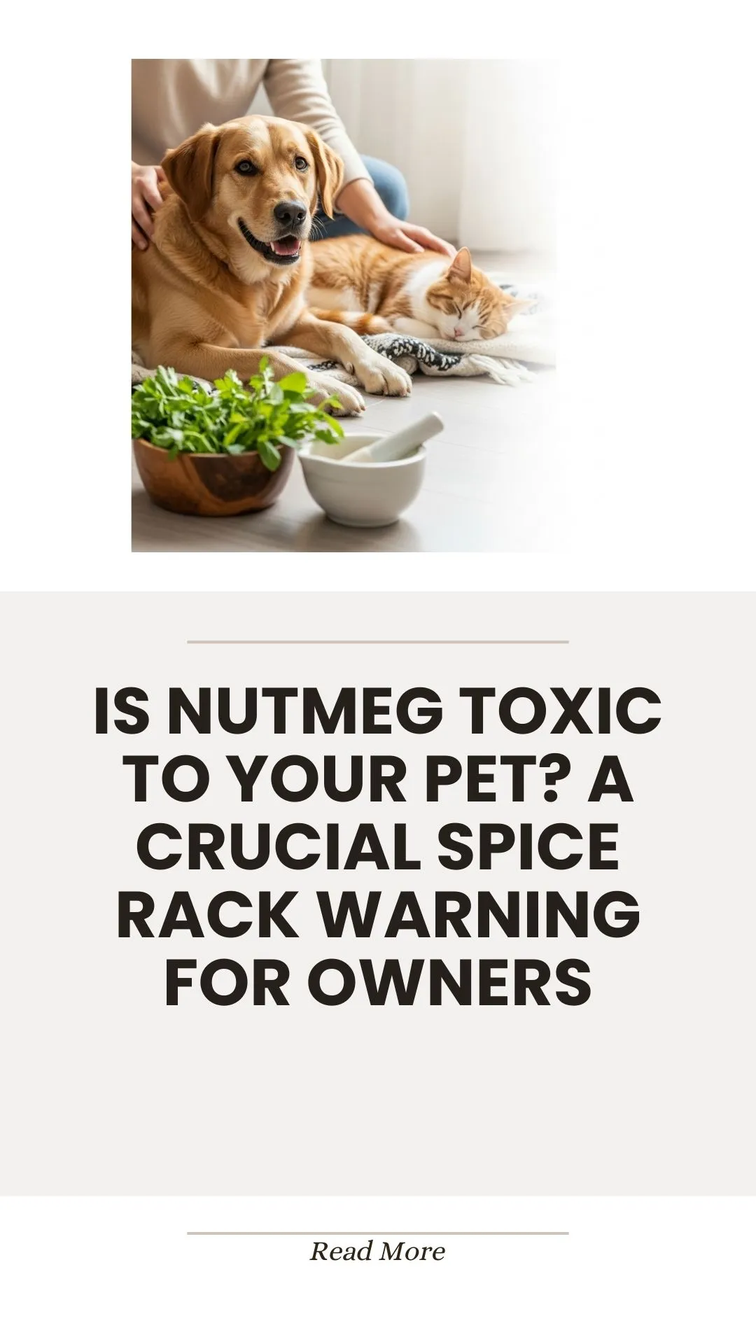 Nutmeg spice toxicity warning for pets