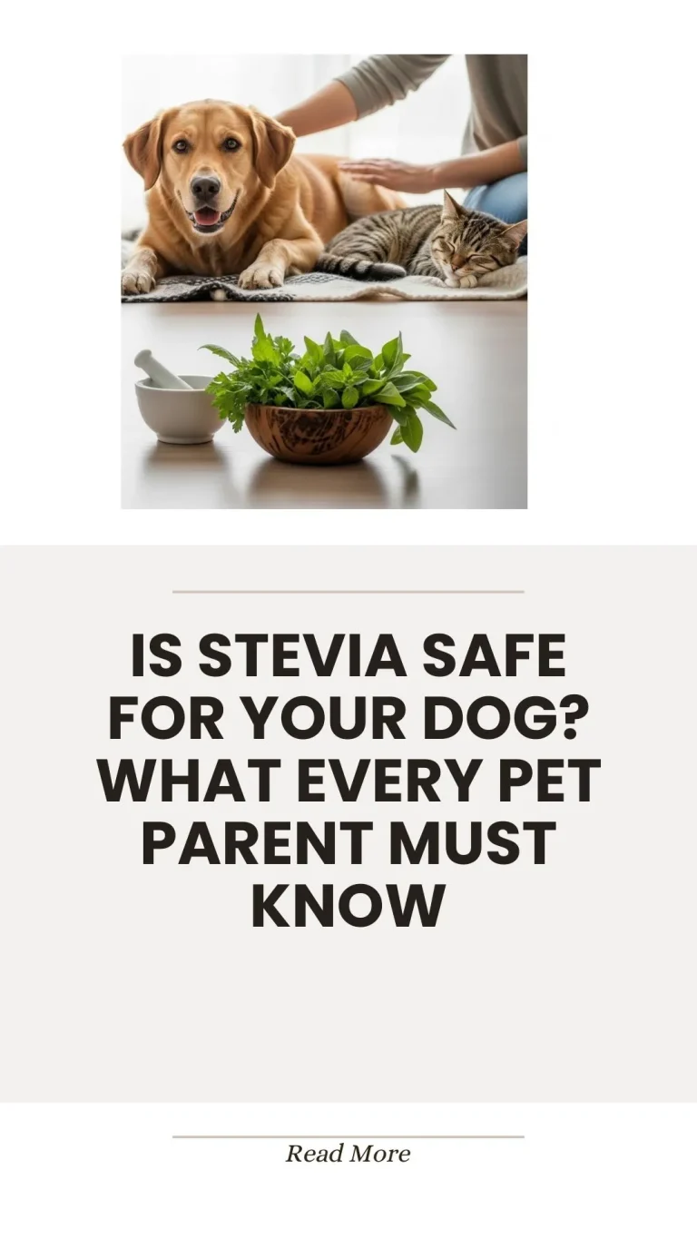 Stevia sweetener safety considerations for dogs