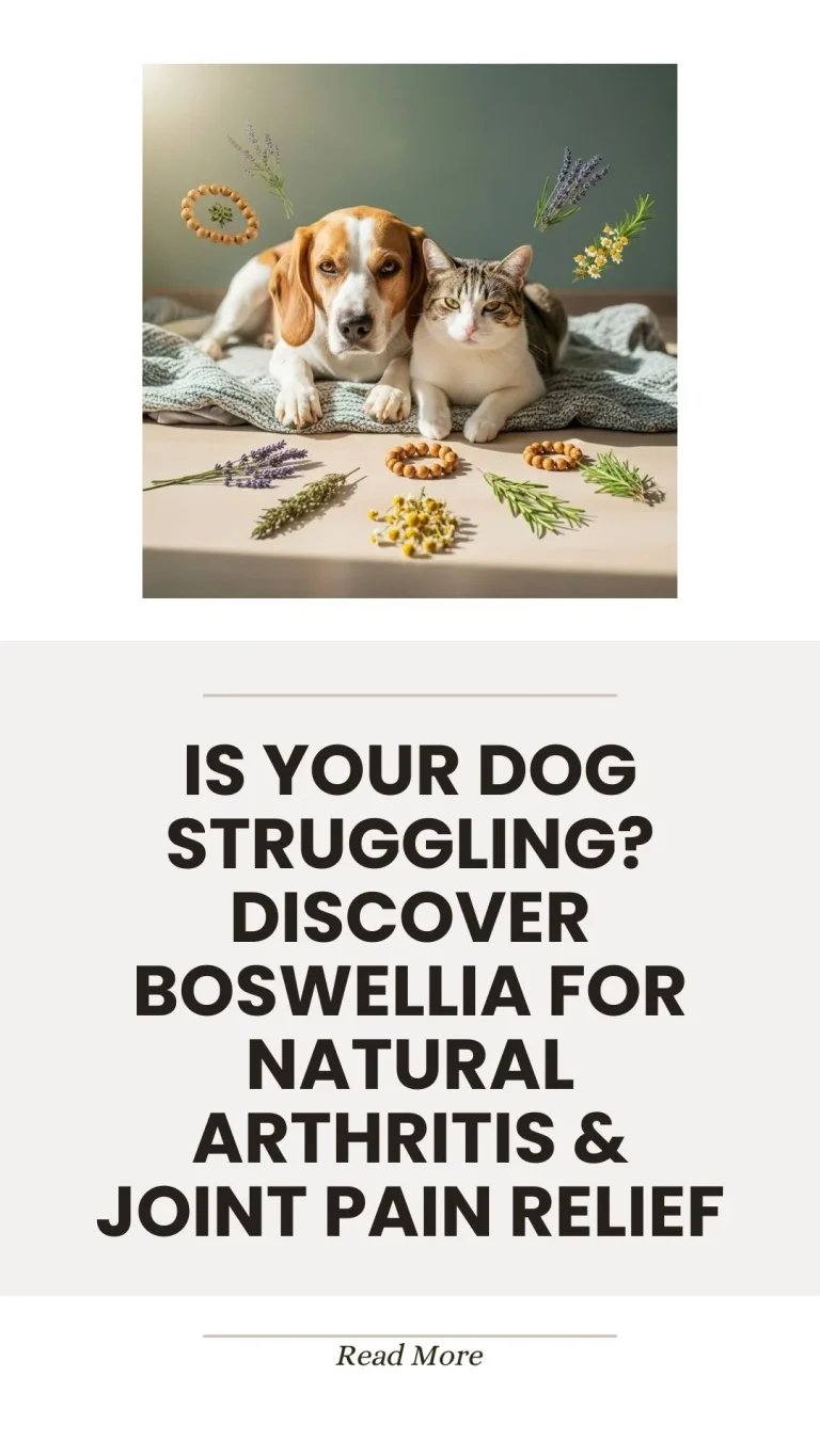 Boswellia herb for natural dog arthritis and joint pain relief