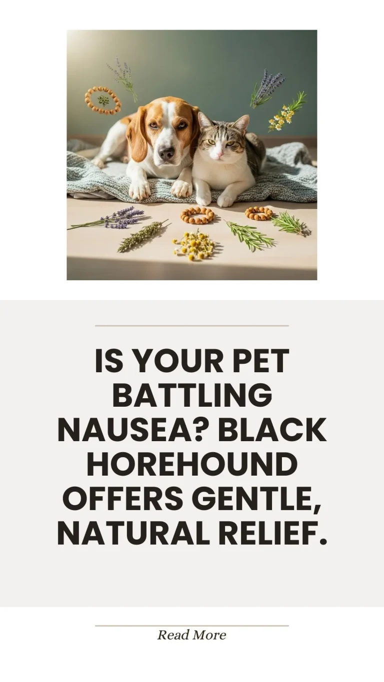 Black horehound herb for gentle pet nausea relief