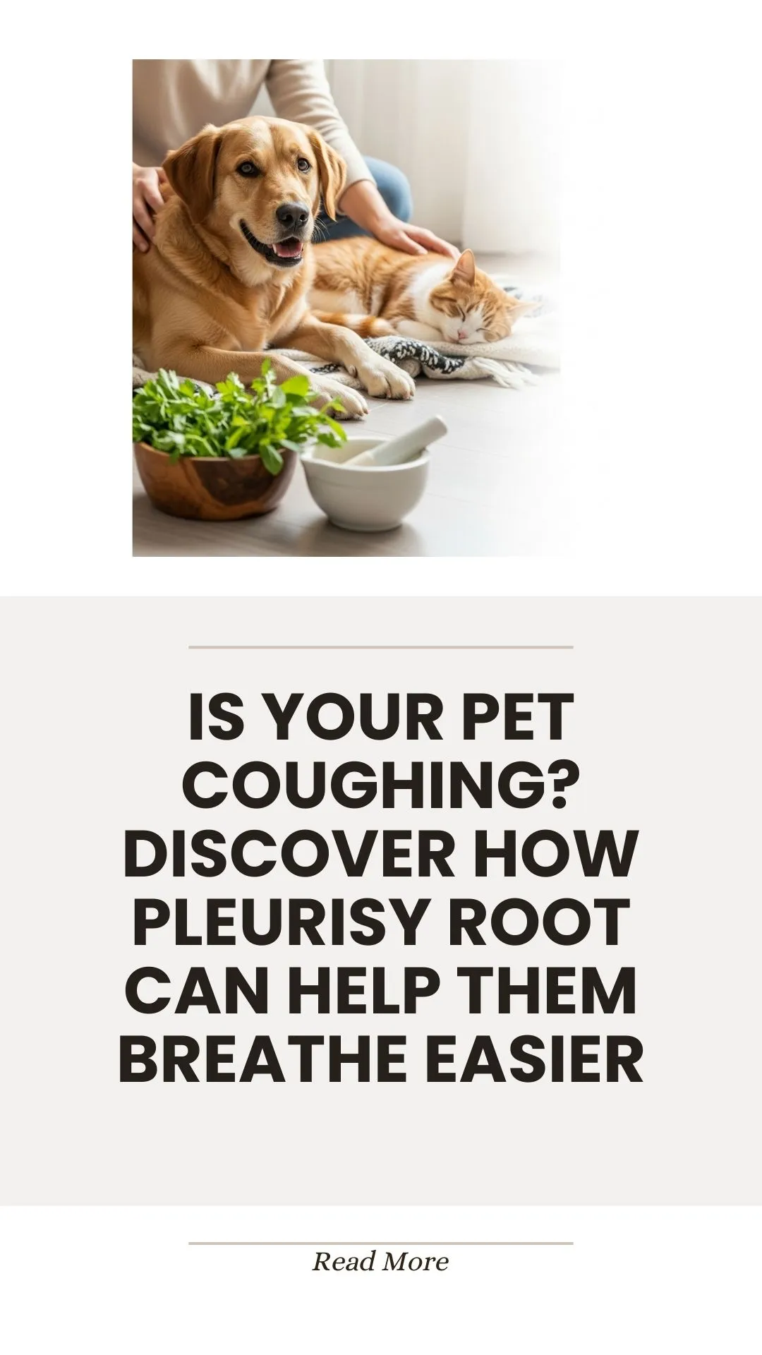 Pleurisy root herb helping pets breathe easier