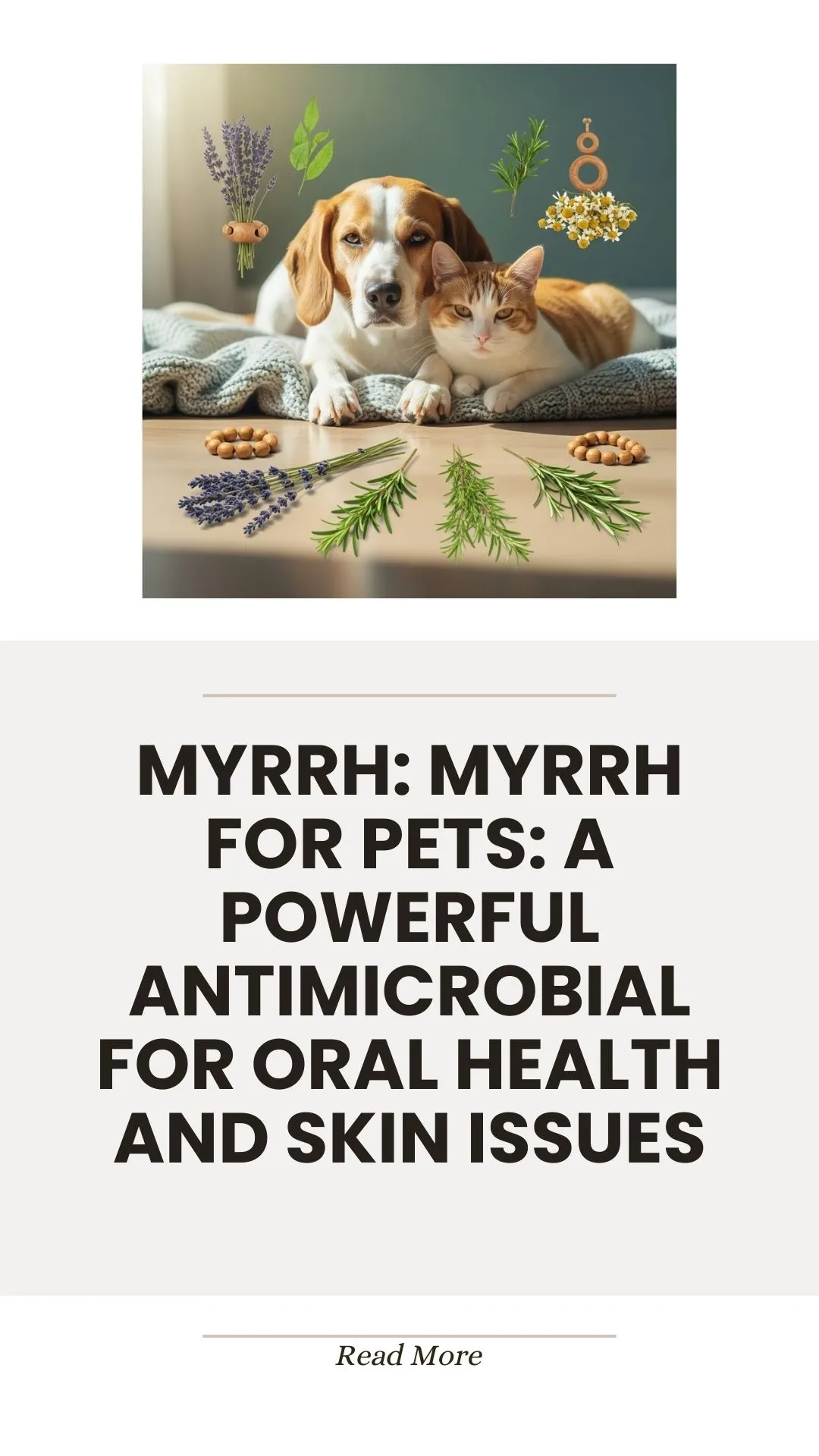 Myrrh herb as a natural antimicrobial for pet oral and skin health