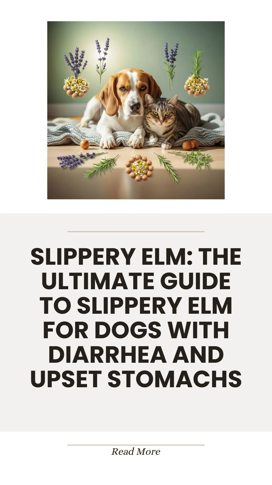Slippery elm for dogs with diarrhea and upset stomachs