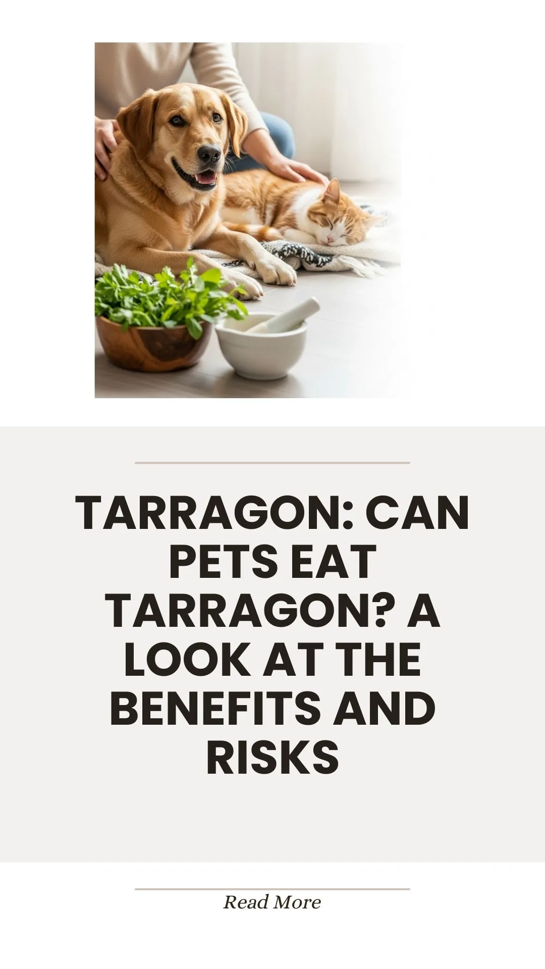 Tarragon herb benefits and risks for pets