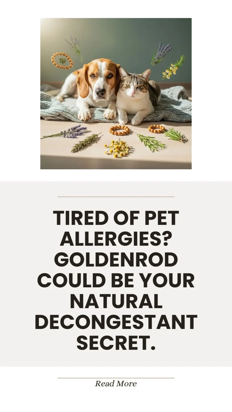 Goldenrod herb as a natural decongestant for pet allergies