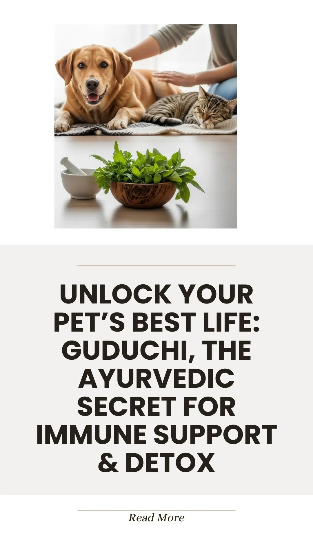 Guduchi, an Ayurvedic herb, for pet immune support and detox