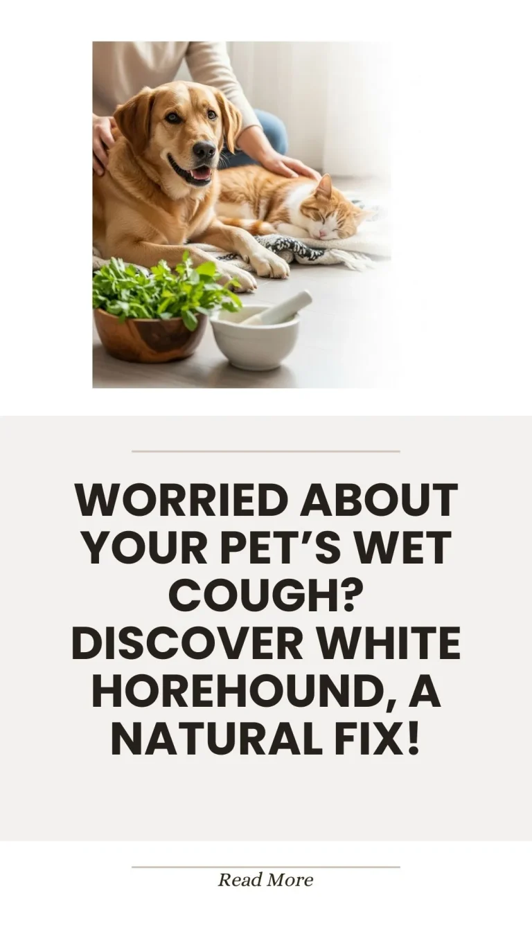 White horehound herb for natural pet wet cough relief
