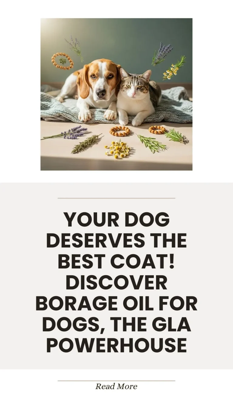 Borage oil, a GLA powerhouse, for a dog's coat health