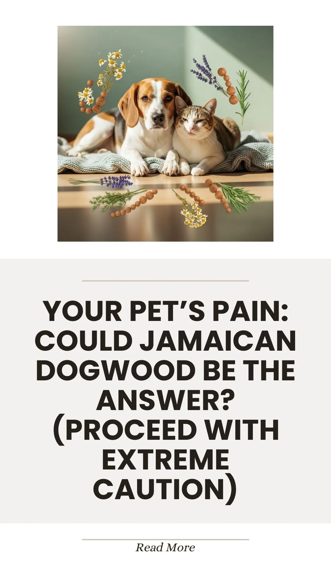 Jamaican dogwood for pet pain, used with extreme caution