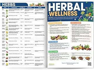 Herbal Medicine Chart Beginners